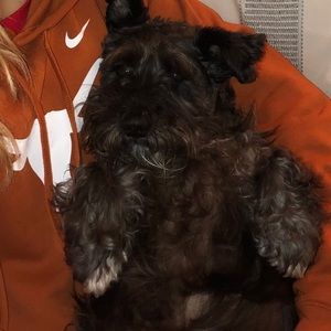 Meet your Posher, Hannah